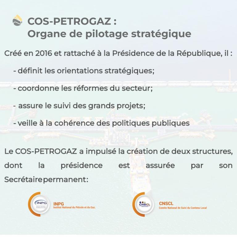 COS-PETROGAZ : organe de pilotage stratégique, créé en 2016 et rattaché à la Présidence de la République