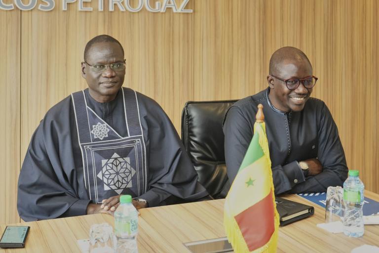 Échanges lors de la visite de courtoisie du ministre de l'Énergie et du Pétrole
