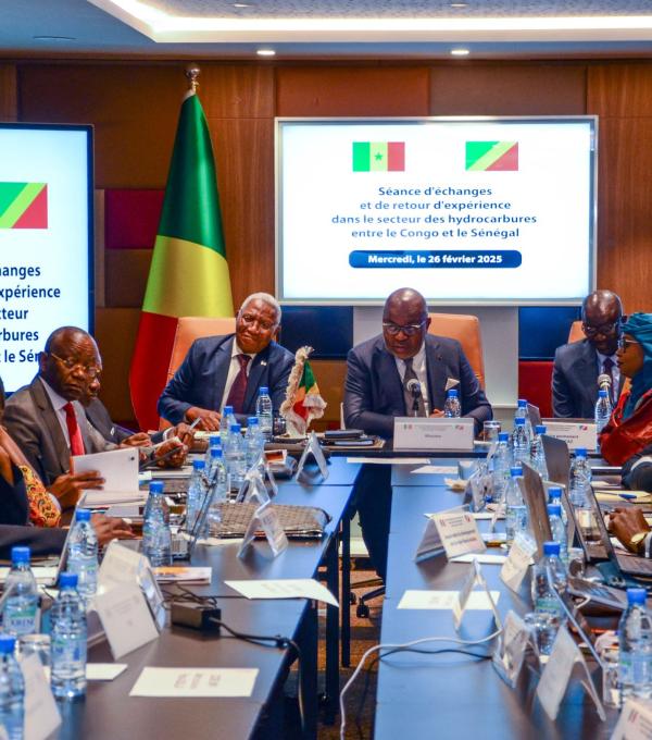 delegation congolaise