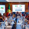 delegation congolaise
